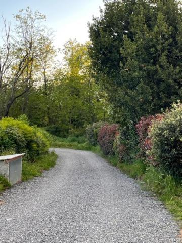 Appartamento Il Picchio Verde Altopascio Exteriör bild