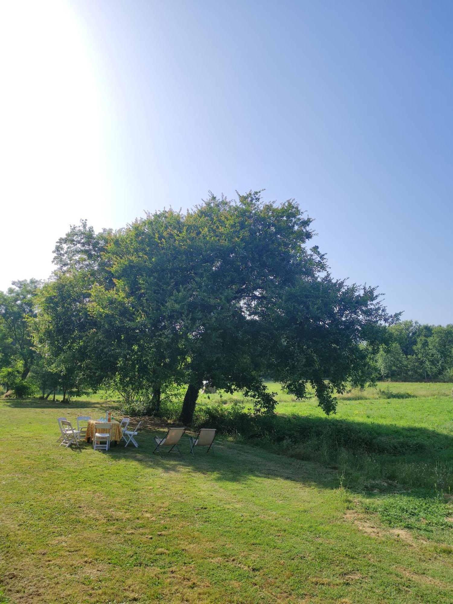 Appartamento Il Picchio Verde Altopascio Exteriör bild